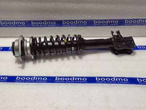 Front Suspension Strut Assembly Left