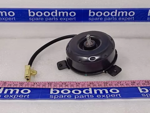 Radiator Fan Motor