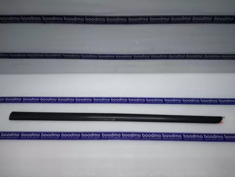 MOLDING, DOOR FRONT RH (BLACK)