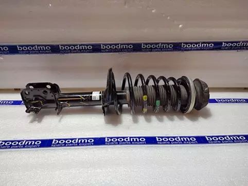 Front Suspension Strut Assembly Right