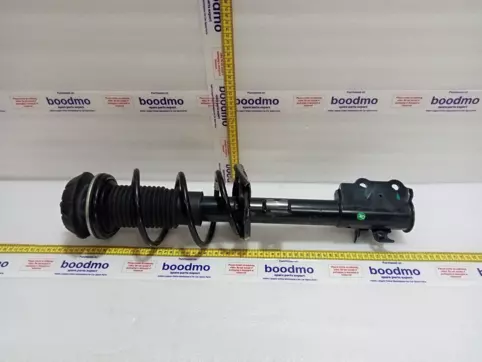Front Suspension Strut Assembly Left