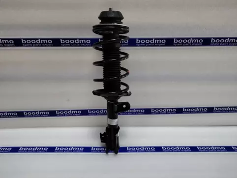 Front Suspension Strut Assembly Left