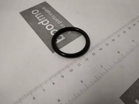 O-RING, 31.2X4.1 (NOK)