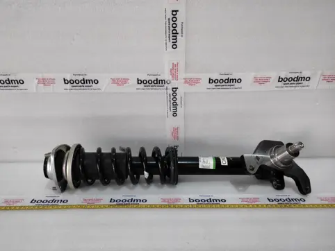 Front Suspension Strut Left