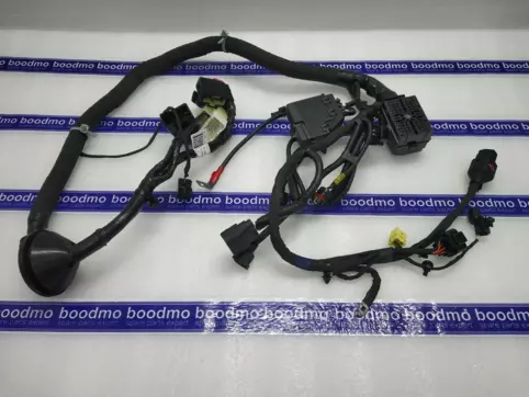 WIRING ASSY-FR