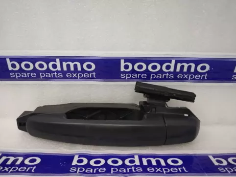 Outer Door Handle Rear Left