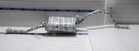 Silencer Assembly Rear