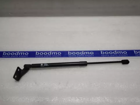 Tailgate Gas Spring Left