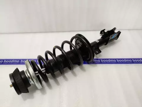 Front Suspension Strut Assembly Left