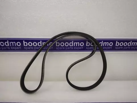 V-Ribbed Belt