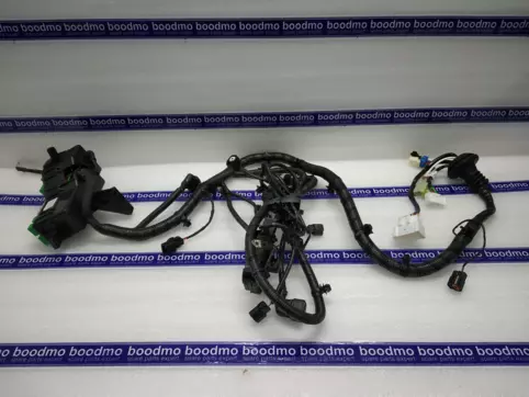WIRING ASSY-FR