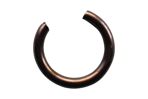 Snap Ring, Starter