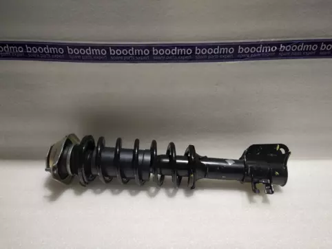 Front Suspension Strut Assembly Left
