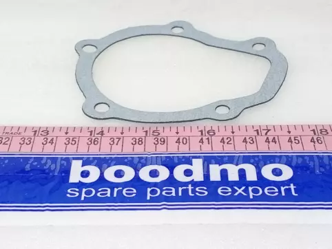 Water Pump Gasket (CAF)