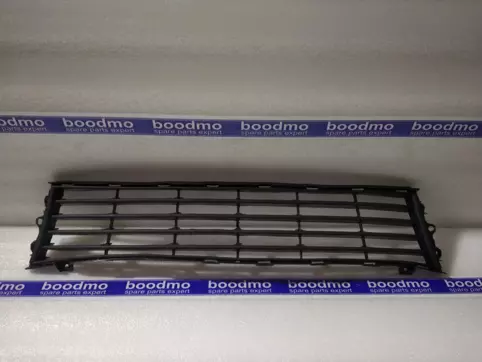 Front Radiator Grille