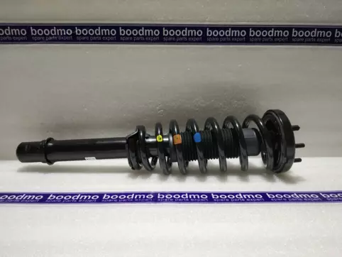 ABSORBER ASSY, L. FR. SHOCK
