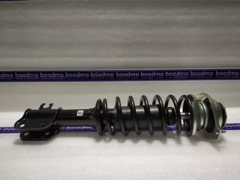 Front Suspension Strut Assembly Left/Right