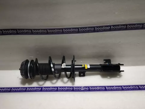 Front Suspension Strut Assembly Left