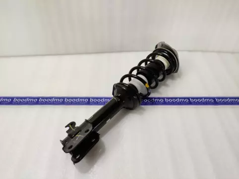 Front Suspension Strut Assembly Right