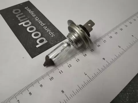 H7 Halogen Bulb 24V 70W (Single Bulb)