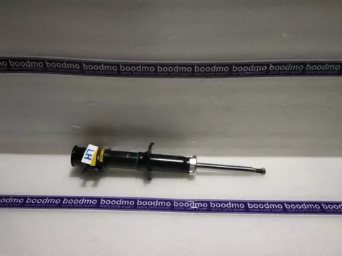 Front Suspension Strut Left