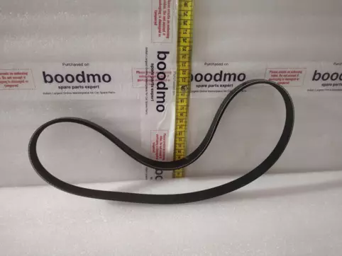 V-Ribbed Belt