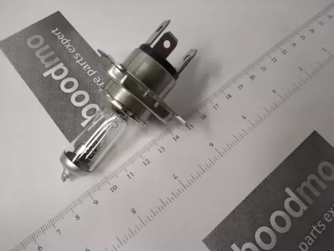 H4 RA Halogen Bulb 12V 130/100W (Single Bulb)