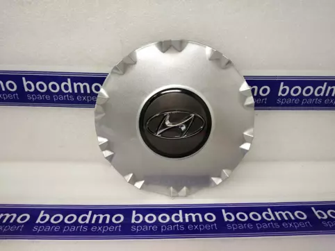 CAP ASSY-WHEEL HUB