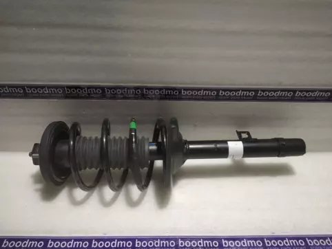 ABSORBER ASSY, L. RR. SHOCK