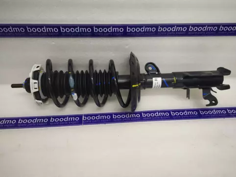 ABSORBER ASSY., R. FR. SHOCK