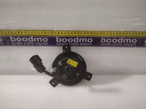 Radiator Fan Motor