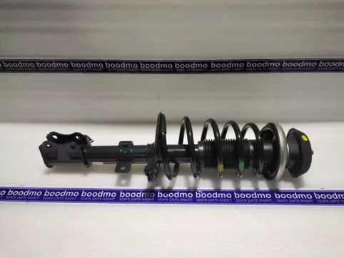 Front Suspension Strut Assembly Right