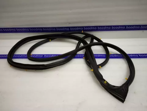 WEATHERSTRIP, DOOR OPNG RH