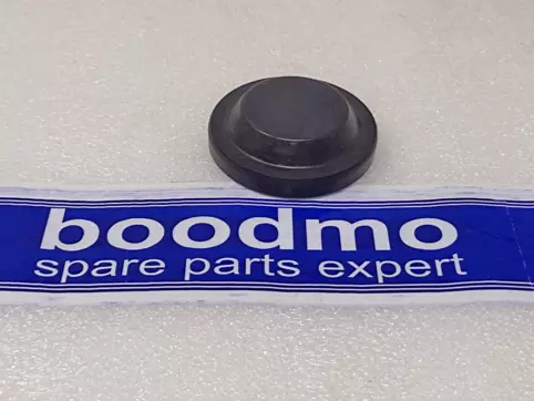 Plug, Left Bearing Counter Shaft