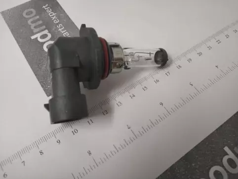 H8 Halogen Bulb 12V 65W (Single Bulb)