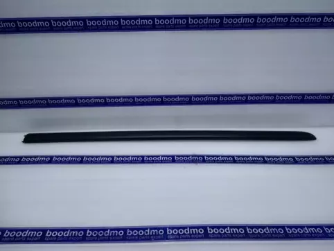 MOLDING SIDE DOOR FRONT LH