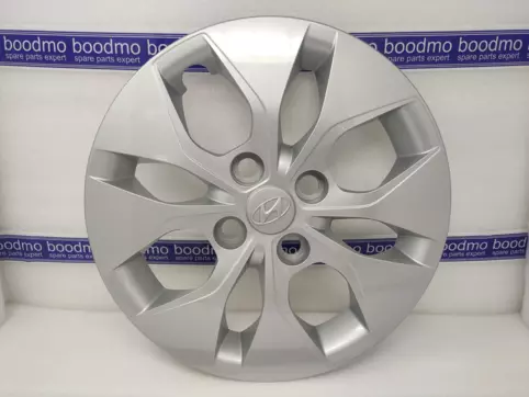 CAP ASSY-WHEEL HUB