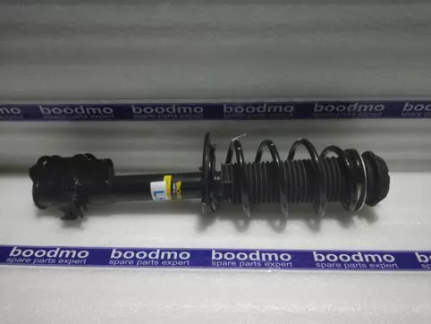 Front Suspension Strut Left