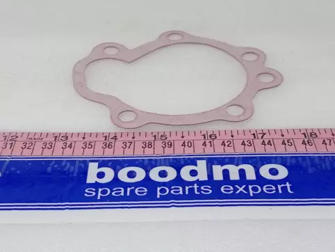 Water Pump Gasket (NMH)