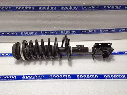 Front Suspension Strut Assembly Left