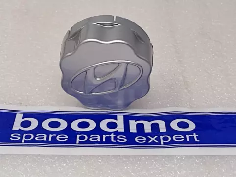 CAP ASSY-WHEEL HUB