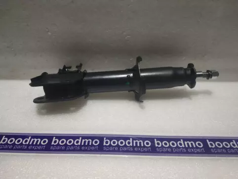 Front Suspension Strut Left