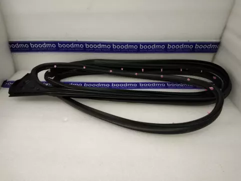 WEATHERSTRIP, DOOR OPNG LH