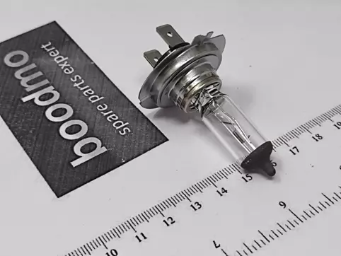 64210 55W 12V