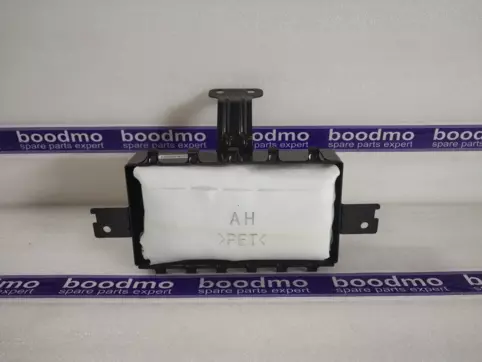 AIR BAG ASSY-PASSENGER