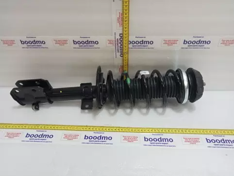 Front Suspension Strut Assembly Left