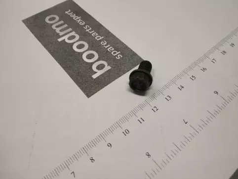 12-point head bolt