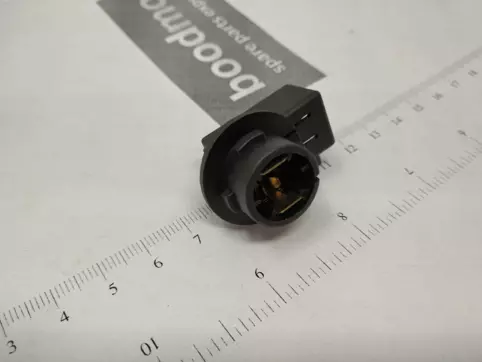 ¥SOCKET, BULB