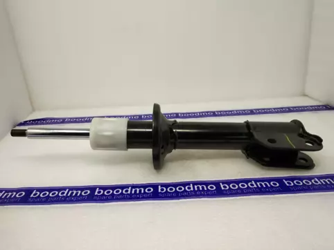 Front Suspension Strut Right