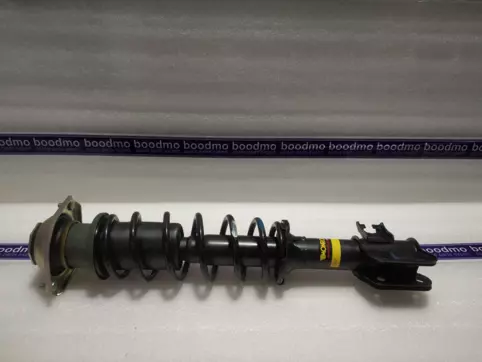 Front Suspension Strut Assembly Right